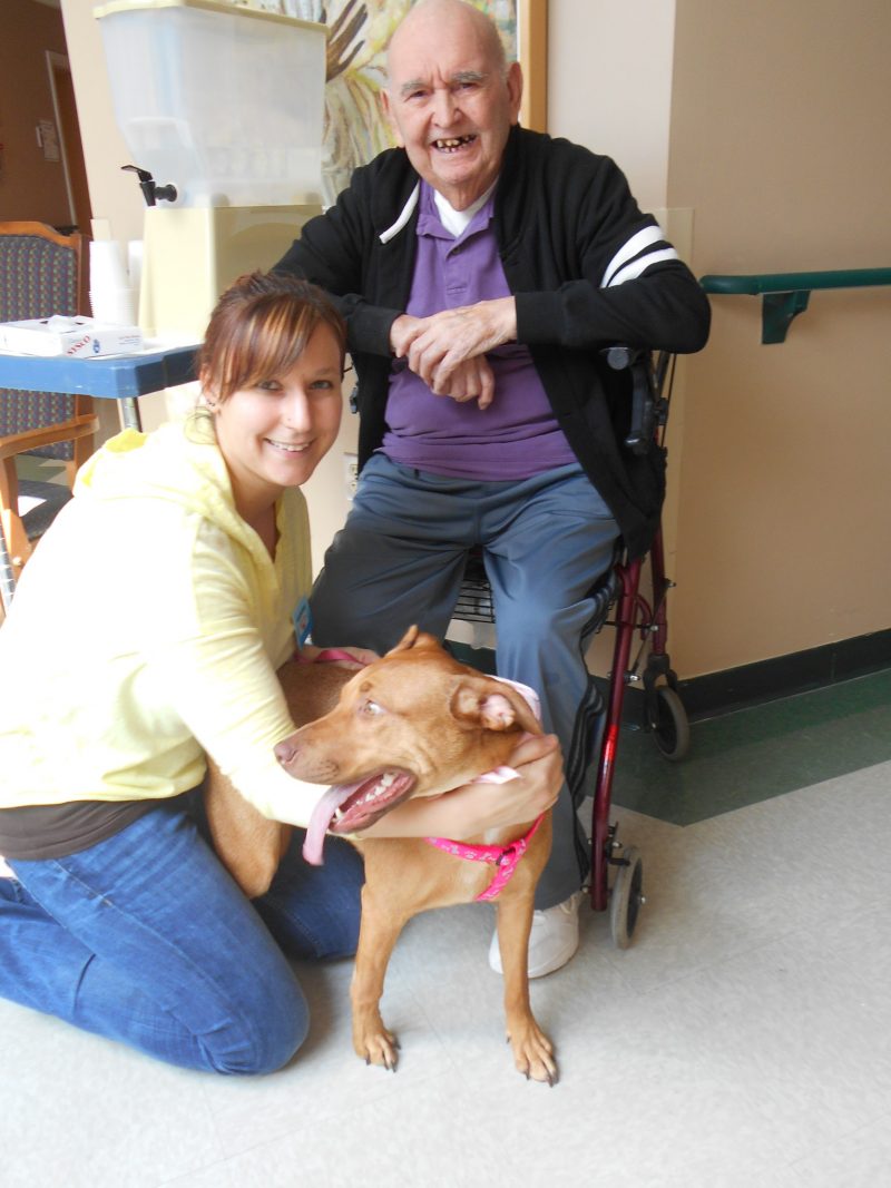 The benefits of pet therapy in nursing homes Matulaitis