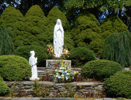 Embracing Comfort: Hospice Care at Matulaitis