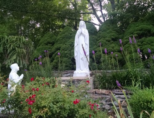 Gentle Goodbye: Hospice Hearts Unburdened