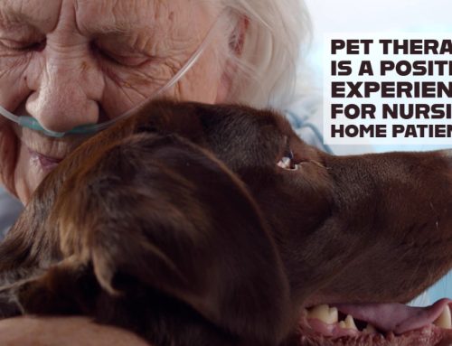 Pet Therapy is a Positive Experience for Nursing Home Patients