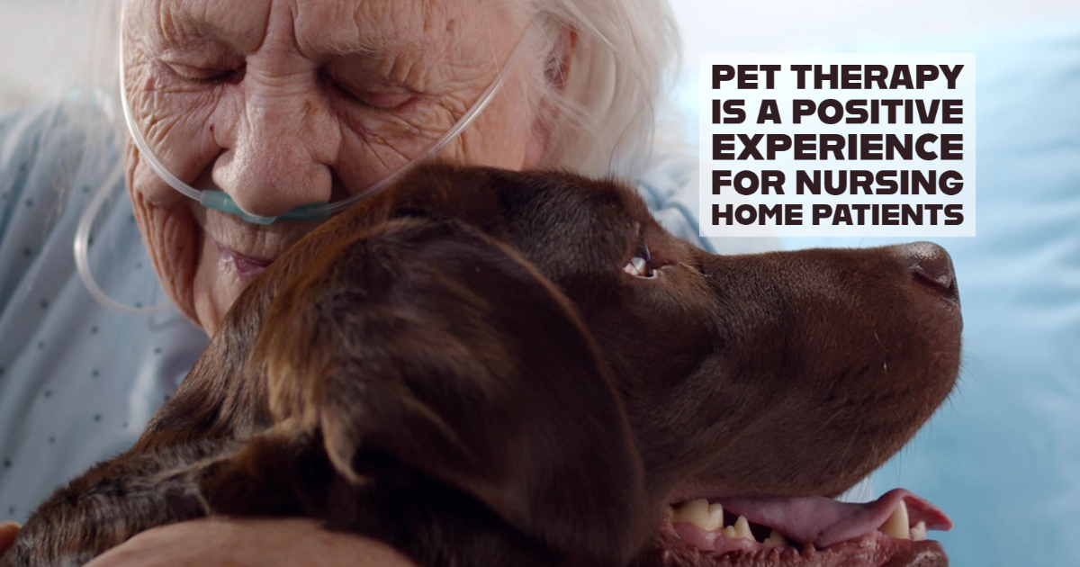 Pet Therapy is a Positive Experience for Nursing Home Patients