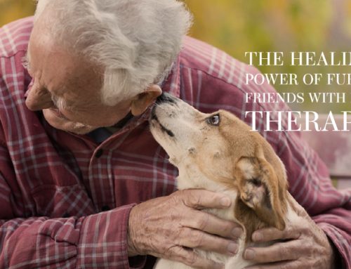 The Healing Power of Furry Friends with Pet Therapy