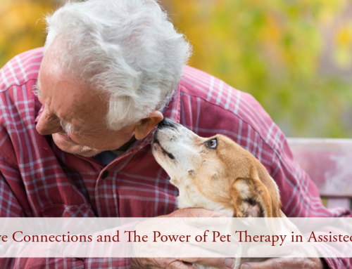 Pawsitive Connections and The Power of Pet Therapy in Assisted Living