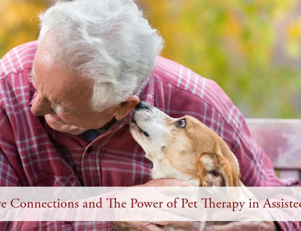The Impact of Pet Therapy in Assisted Living Facilities