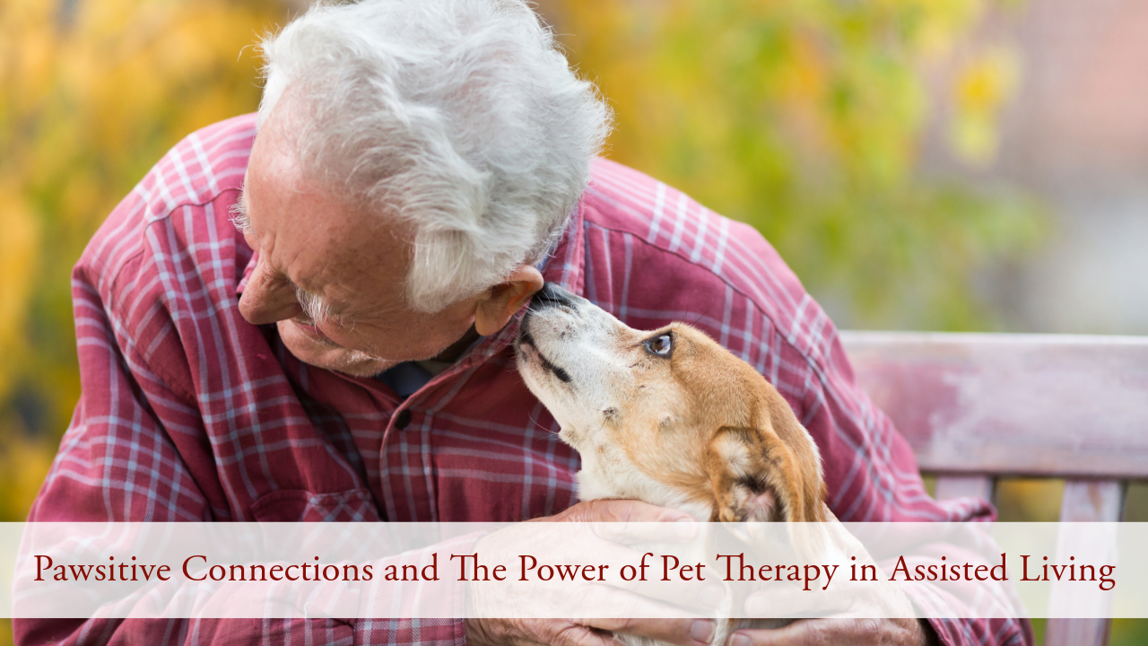 Pawsitive Connections and The Power of Pet Therapy in Assisted Living