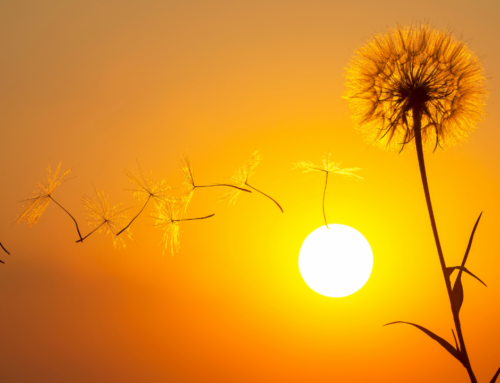 Rediscover Vitality: Rehab’s Gentle Path