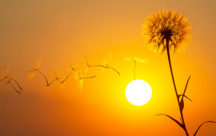 Rehabilitation and Post Acute Care