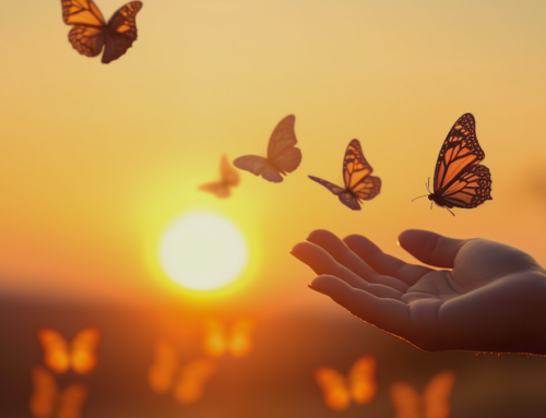 Finding Peace in Life’s Final Chapter with Palliative Care