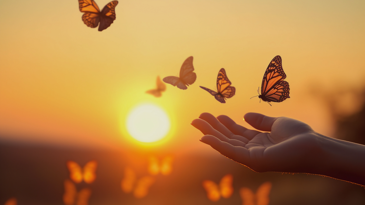 Finding Peace in Life's Final Chapter with Palliative Care